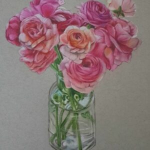 Pink Runuculus