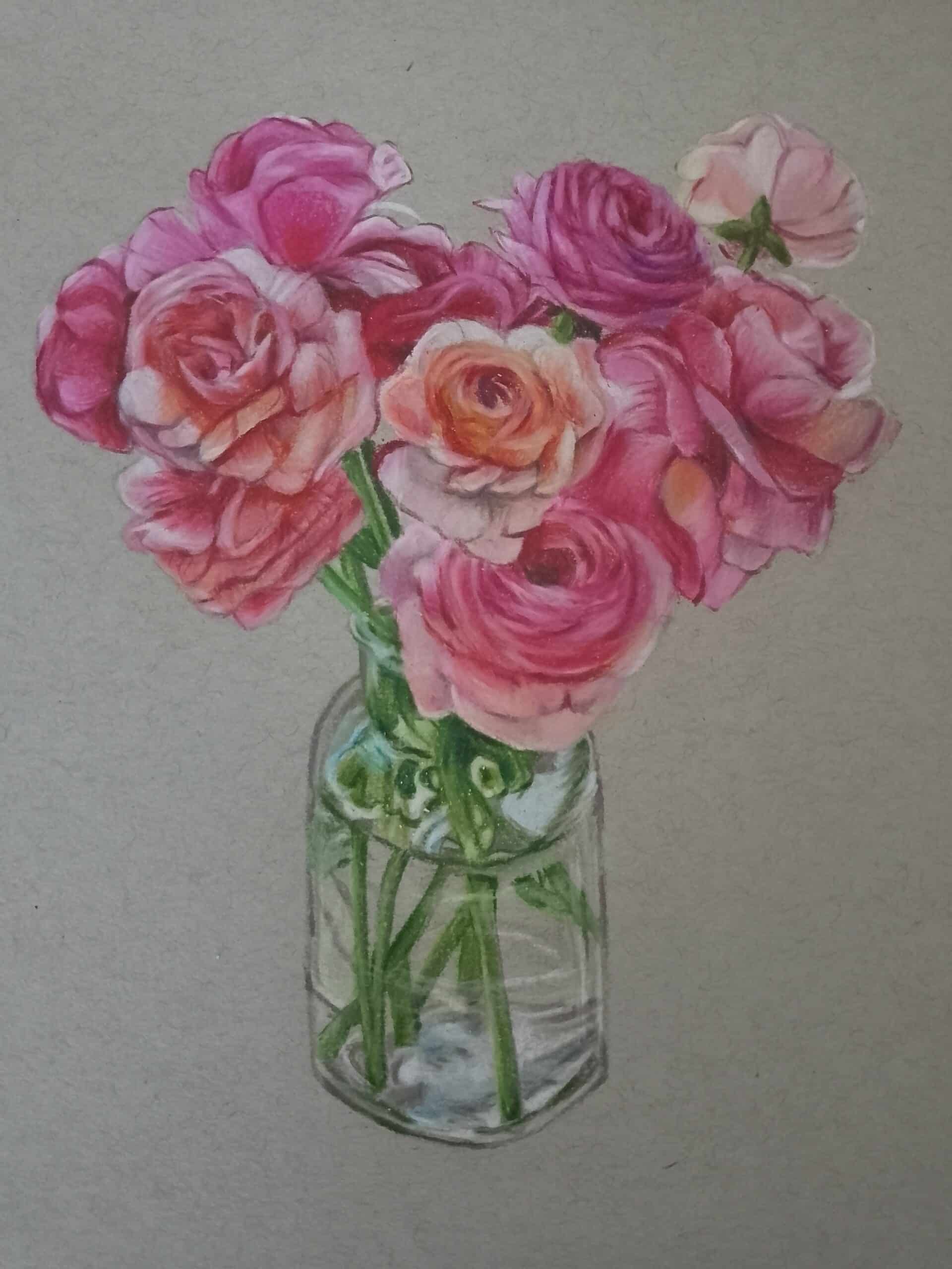 Pink Runuculus