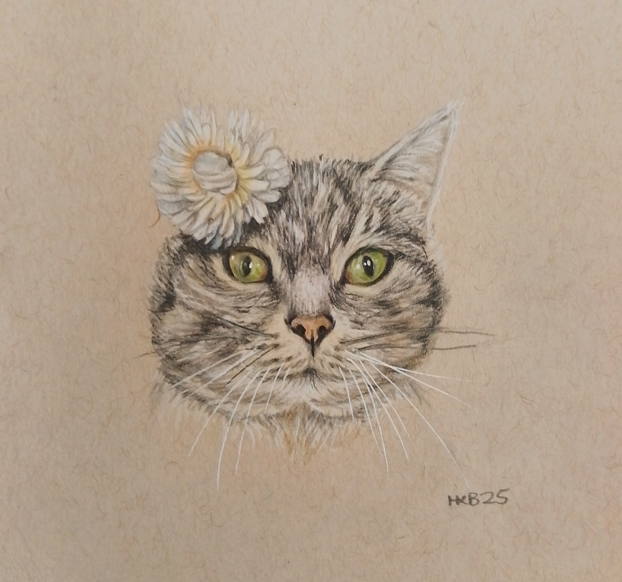 Pretty Kitty