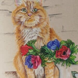 Ginger Cat