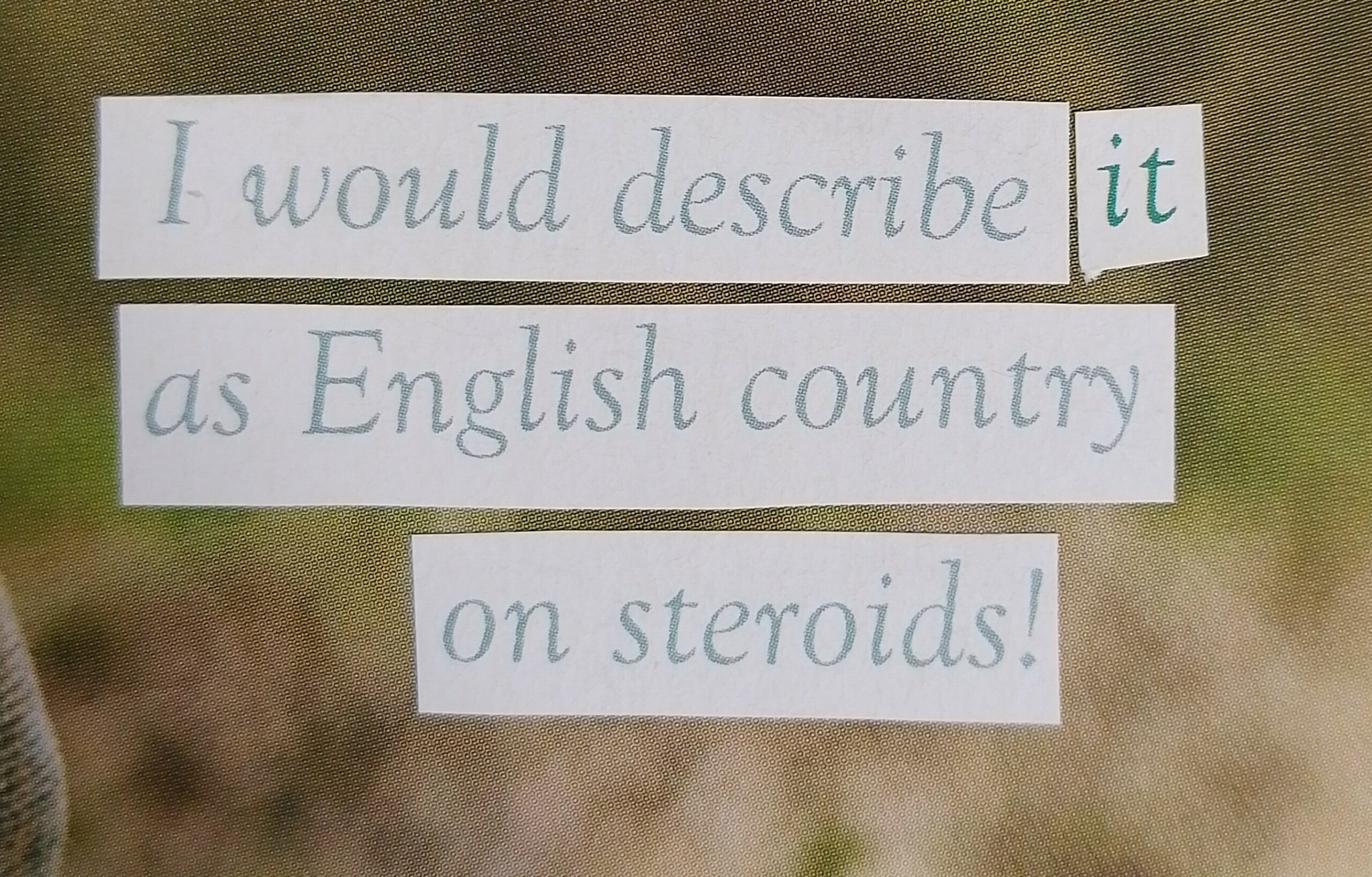 'I would describe it as English country on steroids' - Image 2