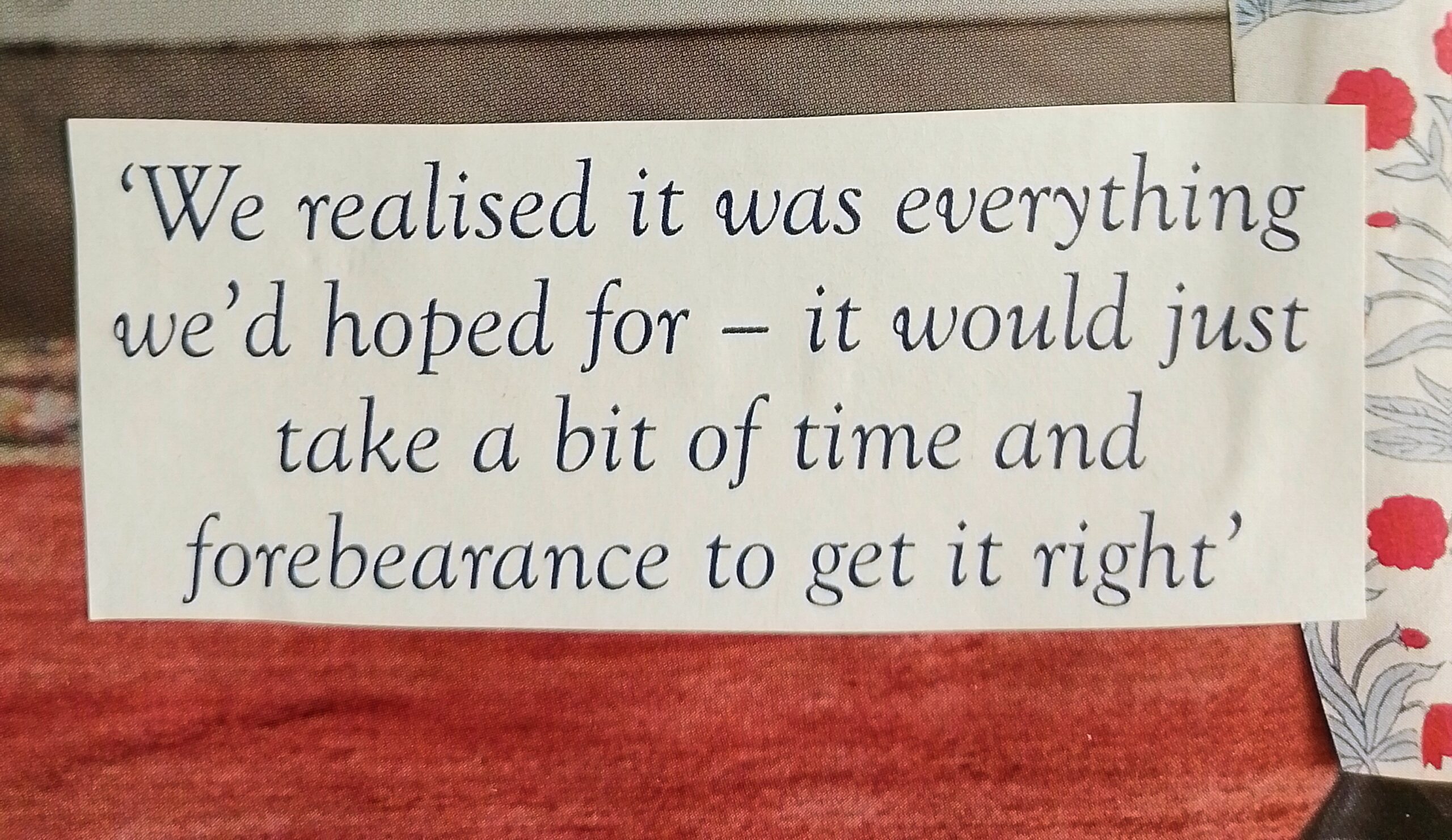 'It would just take some time and forbearance to get it right' - Image 2