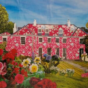 Felicity’s House